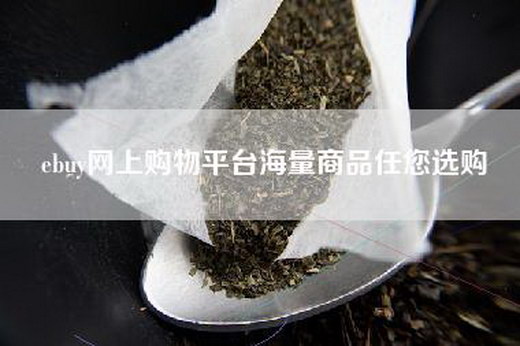 ebuy网上购物平台海量商品任您选购