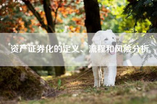 资产证券化的定义、流程和风险分析