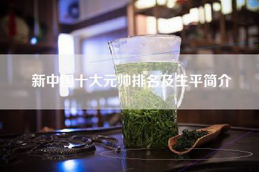 新中国十大元帅排名及生平简介