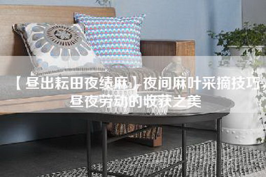 【昼出耘田夜绩麻】夜间麻叶采摘技巧，昼夜劳动的收获之美