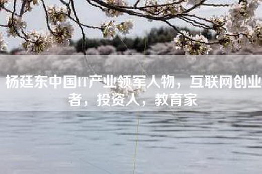 杨廷东中国IT产业领军人物，互联网创业者，投资人，教育家
