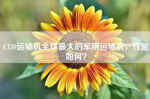 C130运输机全球最大的军用运输机，性能如何？