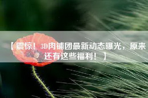 【震惊！3D肉铺团最新动态曝光，原来还有这些福利！】