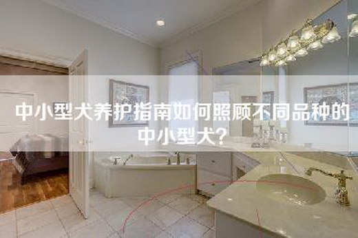 中小型犬养护指南如何照顾不同品种的中小型犬？