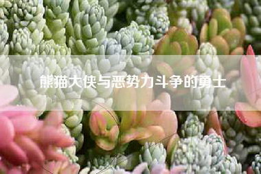 熊猫大侠与恶势力斗争的勇士