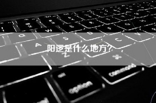 阳逻是什么地方？