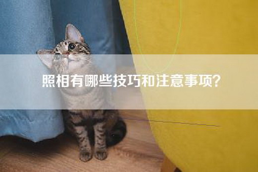 照相有哪些技巧和注意事项？