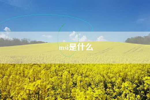 msi是什么