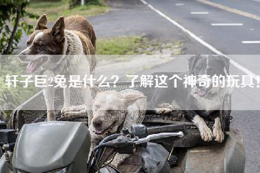 轩子巨2兔是什么？了解这个神奇的玩具！