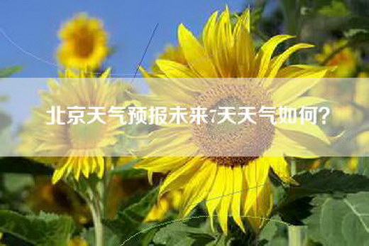 北京天气预报未来7天天气如何？
