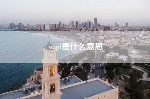 wapi是什么意思