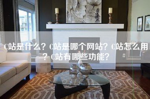 C站是什么？C站是哪个网站？C站怎么用？C站有哪些功能？