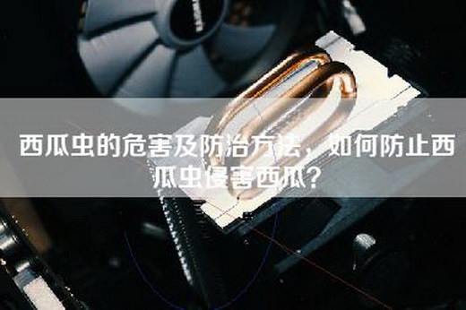 西瓜虫的危害及防治方法，如何防止西瓜虫侵害西瓜？