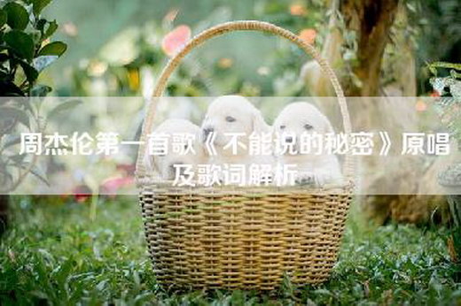 周杰伦第一首歌《不能说的秘密》原唱及歌词解析