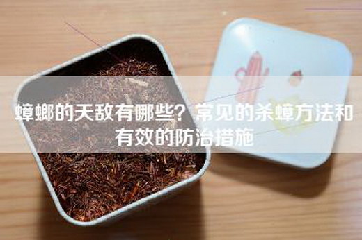 蟑螂的天敌有哪些？常见的杀蟑方法和有效的防治措施