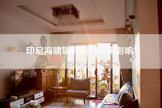 印尼海啸如何应对灾害影响？