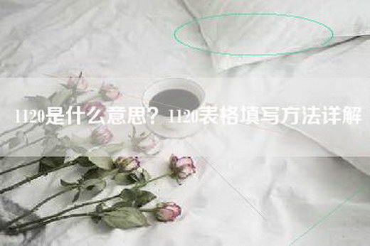 1120是什么意思？1120表格填写方法详解
