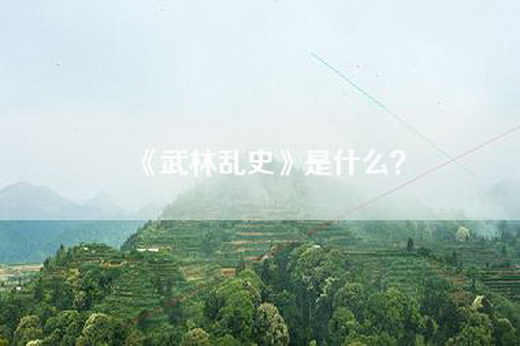《武林乱史》是什么？