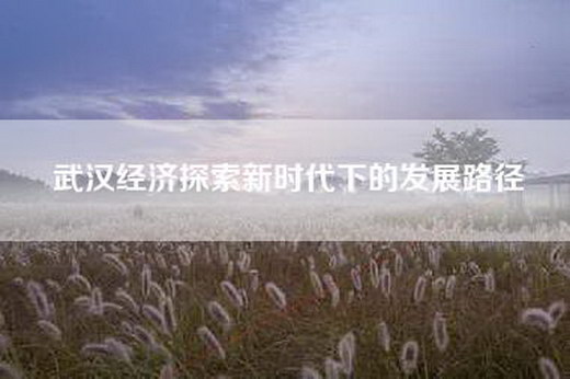 武汉经济探索新时代下的发展路径
