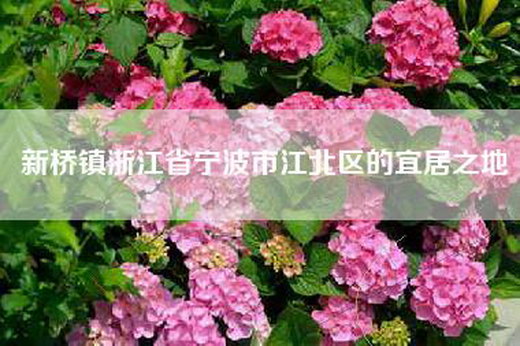 新桥镇浙江省宁波市江北区的宜居之地