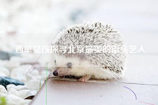 西单女孩探寻北京最美的街头艺人