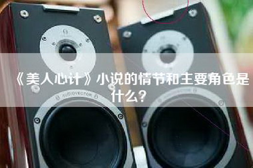 《美人心计》小说的情节和主要角色是什么？
