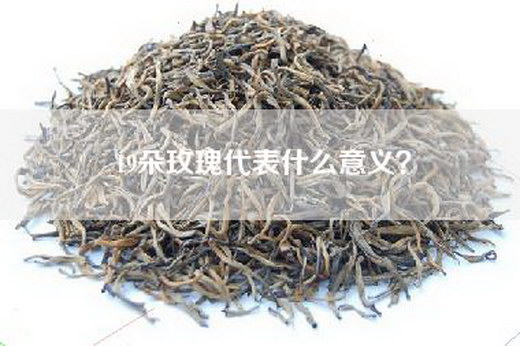 19朵玫瑰代表什么意义？