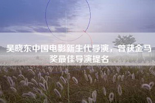 吴晓东中国电影新生代导演，曾获金马奖最佳导演提名