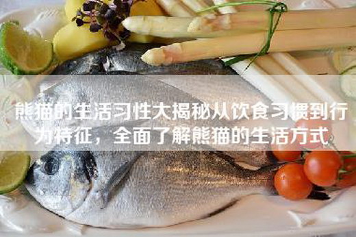 熊猫的生活习性大揭秘从饮食习惯到行为特征，全面了解熊猫的生活方式
