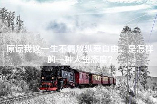 原谅我这一生不羁放纵爱自由，是怎样的一种人生态度？