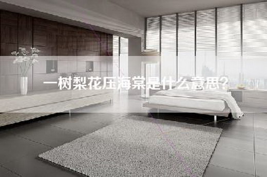 一树梨花压海棠是什么意思？