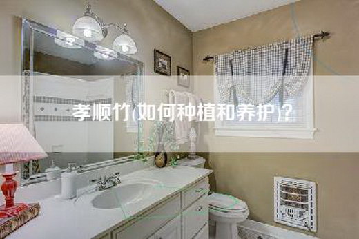 孝顺竹(如何种植和养护)？