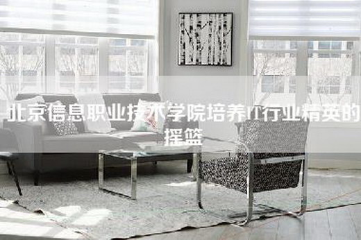 北京信息职业技术学院培养IT行业精英的摇篮