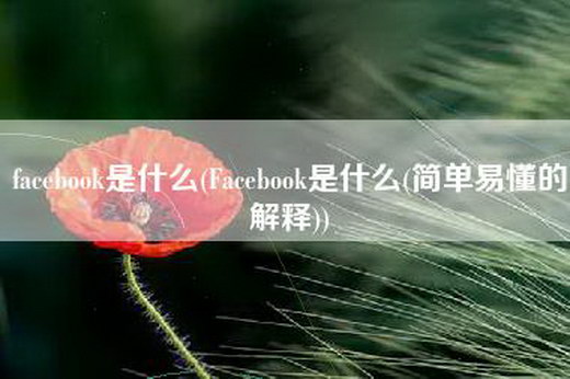 facebook是什么(Facebook是什么(简单易懂的解释))