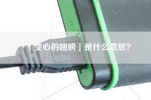 「变心的翅膀」是什么意思？