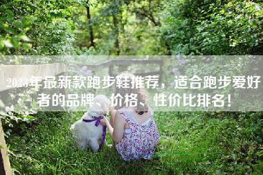2023年最新款跑步鞋推荐，适合跑步爱好者的品牌、价格、性价比排名！