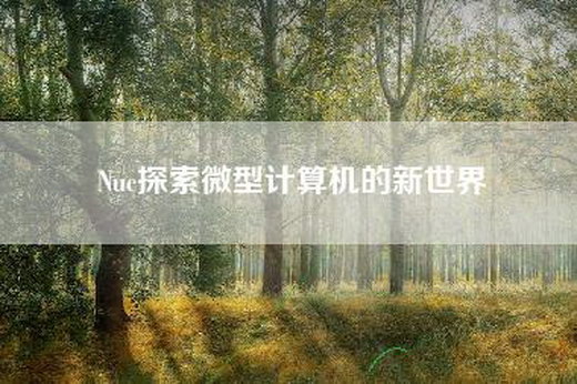Nuc探索微型计算机的新世界