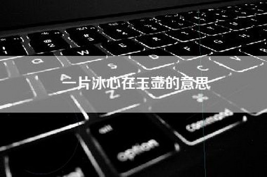 一片冰心在玉壶的意思