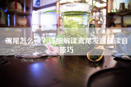 鸢尾怎么读？详细解读鸢尾发音及读音技巧