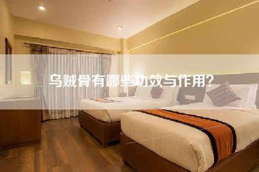 乌贼骨有哪些功效与作用？