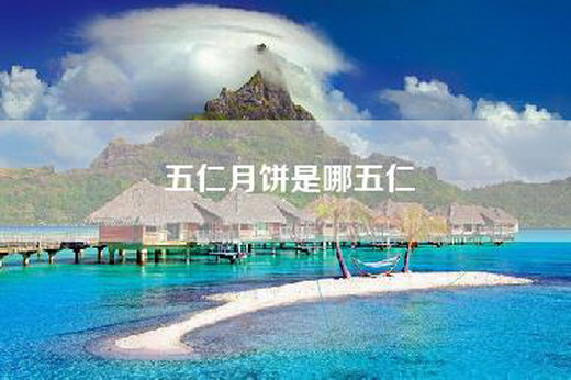 五仁月饼是哪五仁