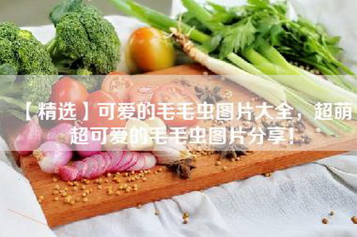 【精选】可爱的毛毛虫图片大全，超萌超可爱的毛毛虫图片分享！