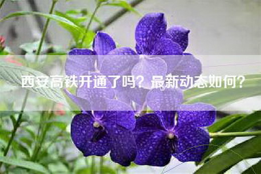 西安高铁开通了吗？最新动态如何？