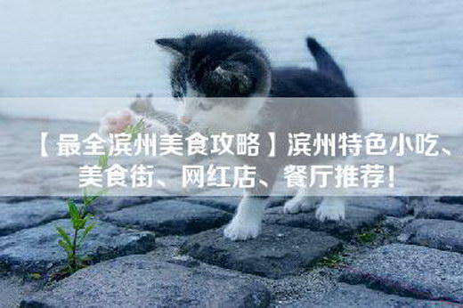 【最全滨州美食攻略】滨州特色小吃、美食街、网红店、餐厅推荐！