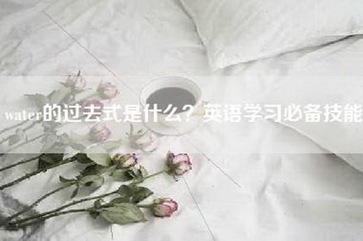 water的过去式是什么？英语学习必备技能