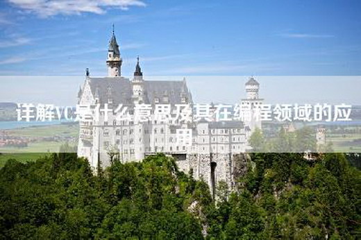 详解VC是什么意思及其在编程领域的应用