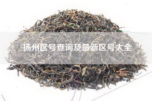 扬州区号查询及最新区号大全