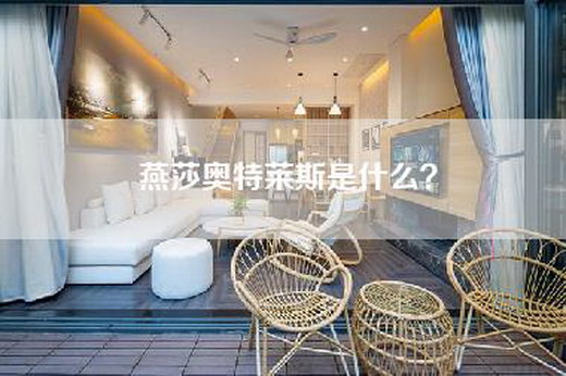 燕莎奥特莱斯是什么？
