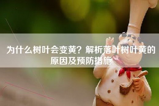 为什么树叶会变黄？解析落叶树叶黄的原因及预防措施