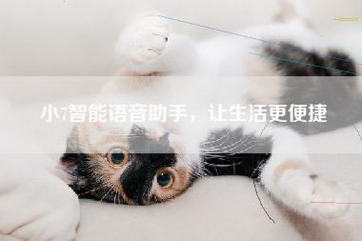 小7智能语音助手，让生活更便捷